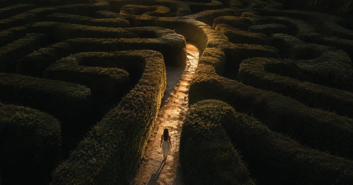 A maze of soft garden hedges viewed from above at dusk, one path lit and the rest in shadow
