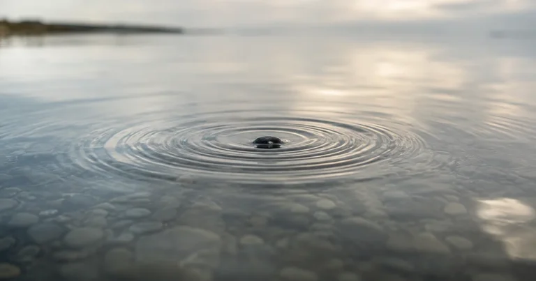 A single stone dropped into calm water with ripples spreading outward under soft overcast light