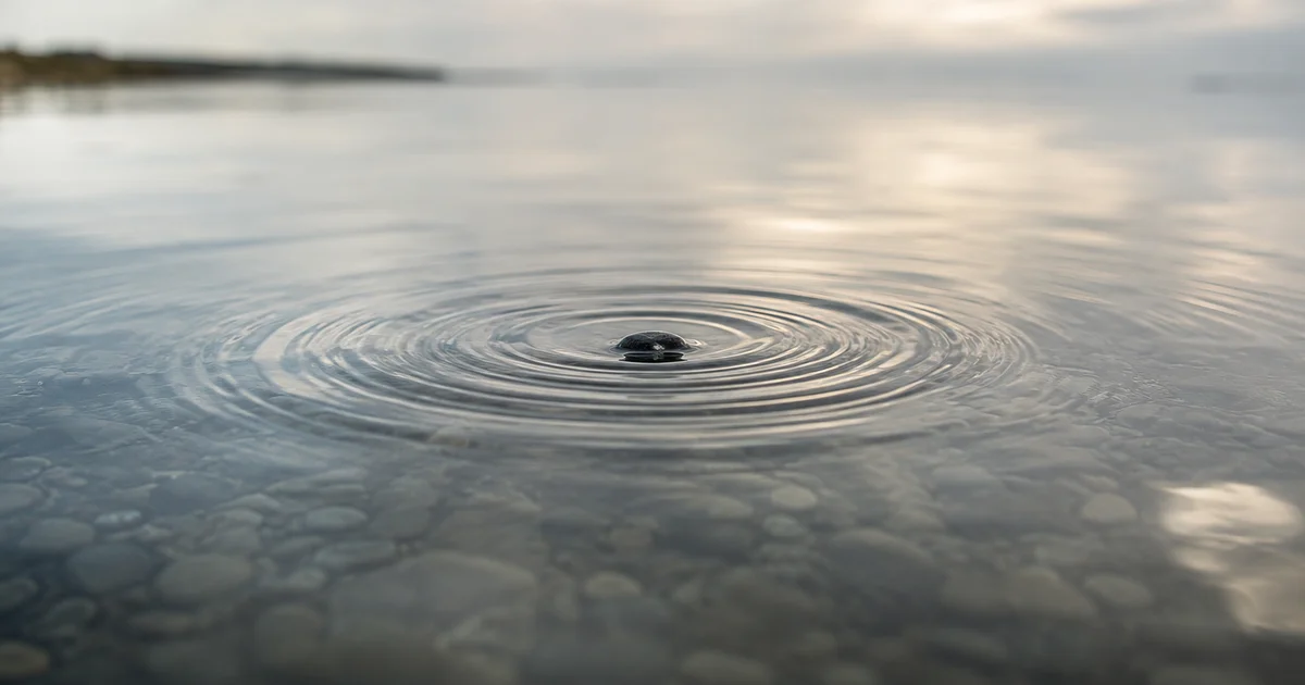 A single stone dropped into calm water with ripples spreading outward under soft overcast light