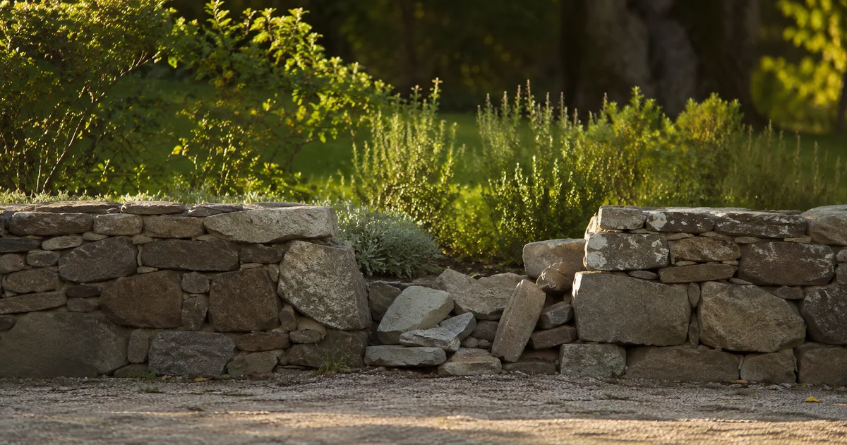 A low garden wall with one section of loose stones set slightly apart, soft afternoon light