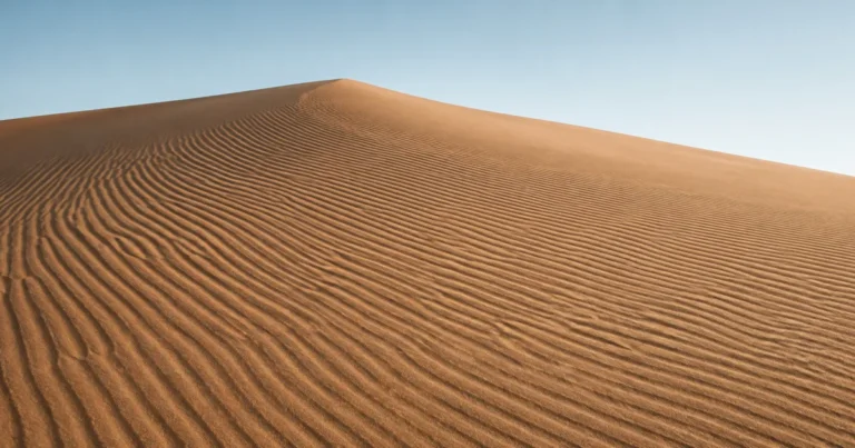 Fine wind-formed ripples running across the face of a sand dune, curving gently where the slope changes.