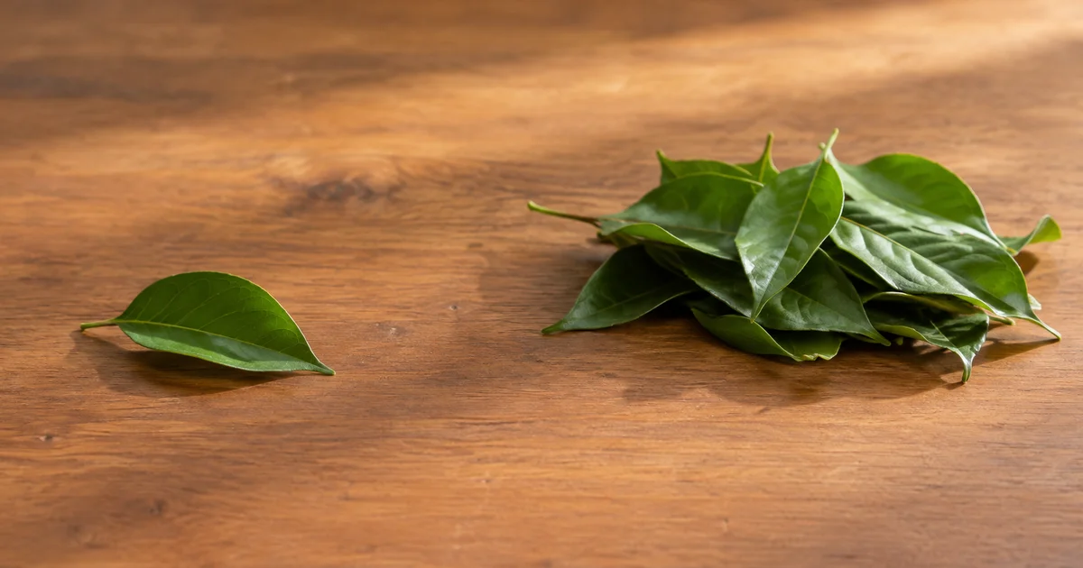 A single leaf resting a short distance apart from a small pile of leaves on a wooden table